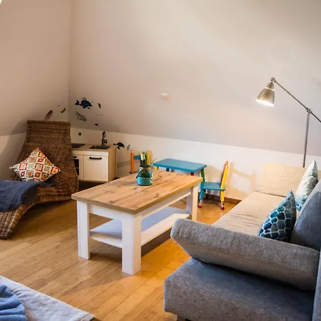 Butterblume Zinnowitz